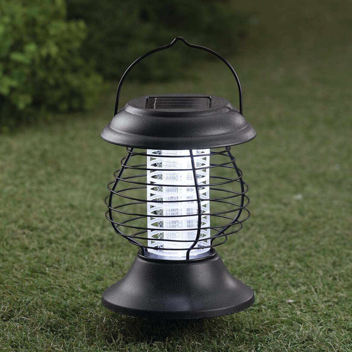 Solar Mosquito-Eliminating Lantern